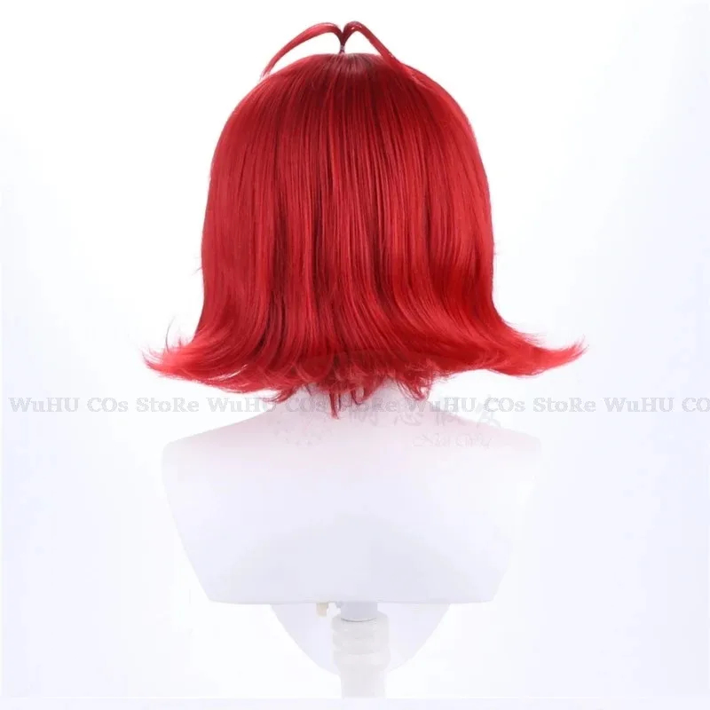 2025 hasbin Cos Niffty Wig Ani - огляд і ціна Anime Cosplay With Red Hair