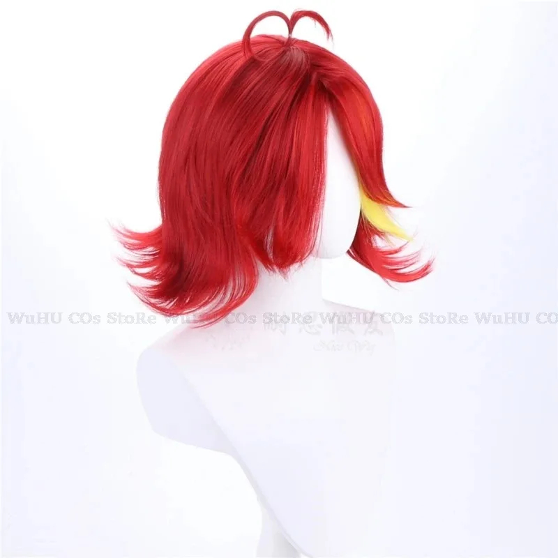 2025 hasbin Cos Niffty Wig Ani - огляд і ціна Anime Cosplay With Red Hair